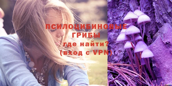 а пвп мука Туринск