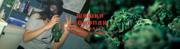 МДПВ Няндома