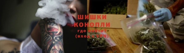 индика Нязепетровск
