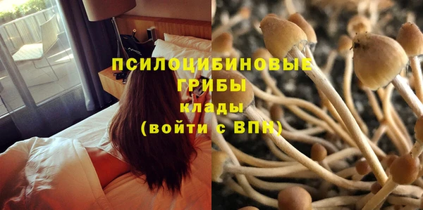 соль ск Нягань