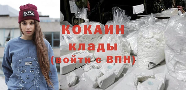 индика Нязепетровск