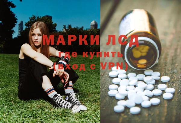 индика Нязепетровск