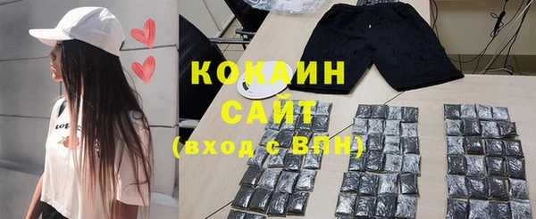 индика Нязепетровск