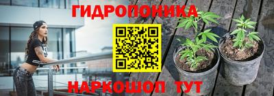 ешки Комсомольск-на-Амуре
