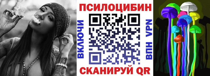 купить наркоту  блэк спрут онион  Галлюциногенные грибы Cubensis  Лосино-Петровский 